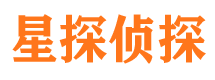 武城市调查公司